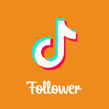 TikTok Follower kaufen